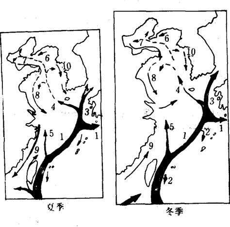 中國沿岸流是寒流還是涼流|科学网—中国沿海洋流季节性变化